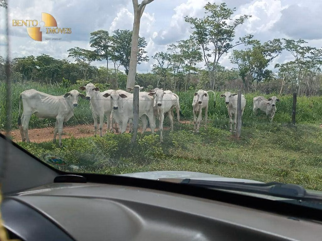 Fazenda de 700 ha em Poconé, MT