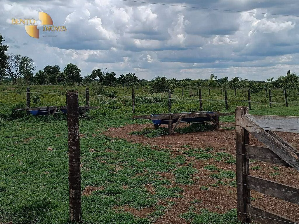 Fazenda de 700 ha em Poconé, MT