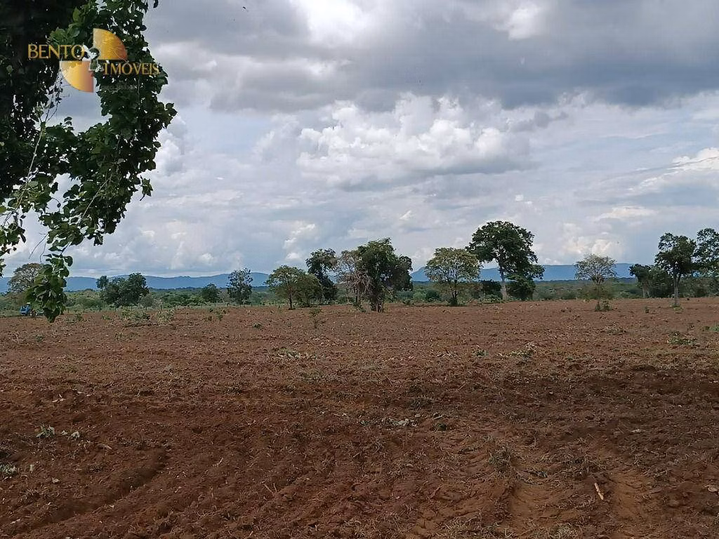 Fazenda de 700 ha em Poconé, MT