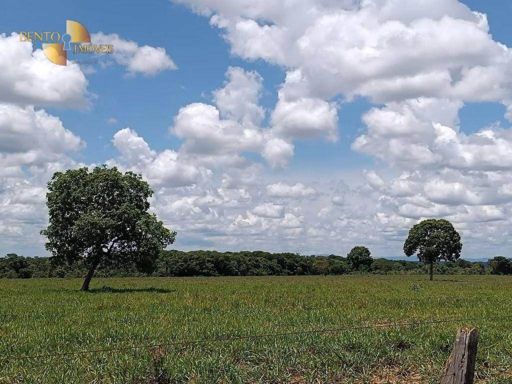Fazenda de 700 ha em Poconé, MT