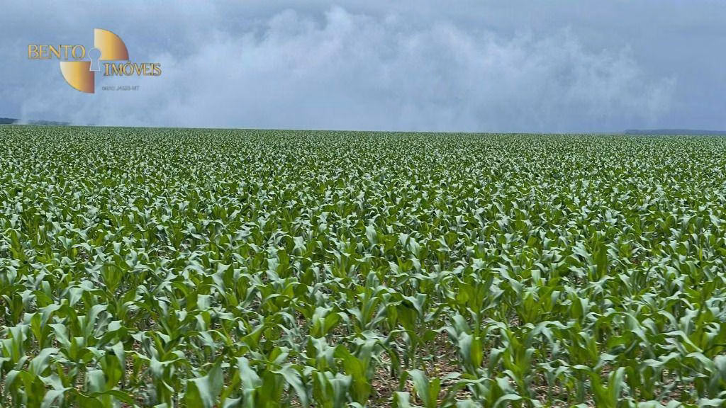 Fazenda de 7.800 ha em Nova Mutum, MT