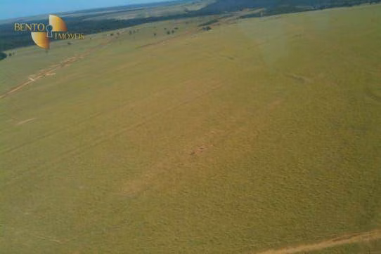 Fazenda de 7.800 ha em Nova Mutum, MT