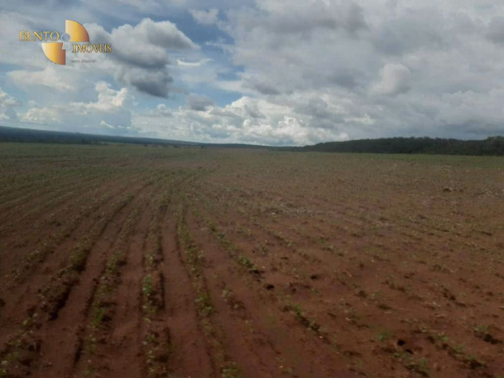 Fazenda de 7.800 ha em Nova Mutum, MT