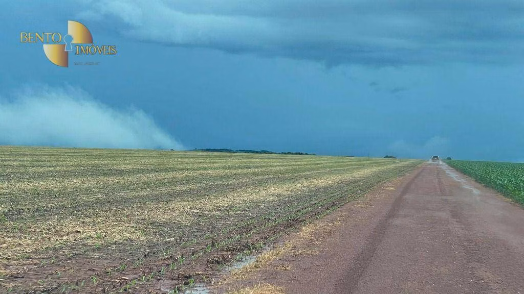 Fazenda de 7.800 ha em Nova Mutum, MT