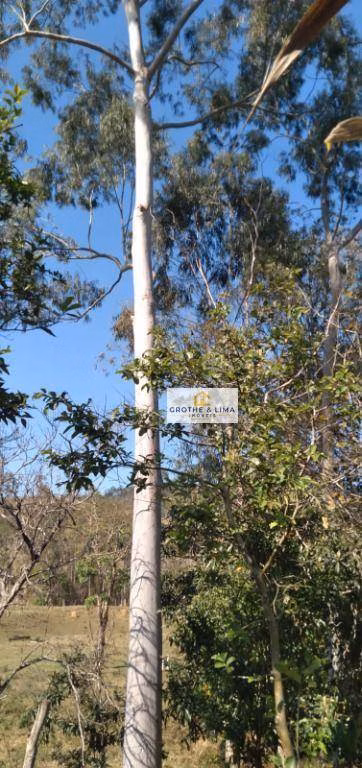 Sítio de 2 ha em Redenção da Serra, SP
