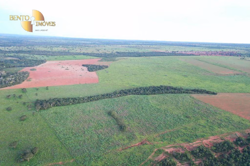 Fazenda de 3.560 ha em Barra do Garças, MT