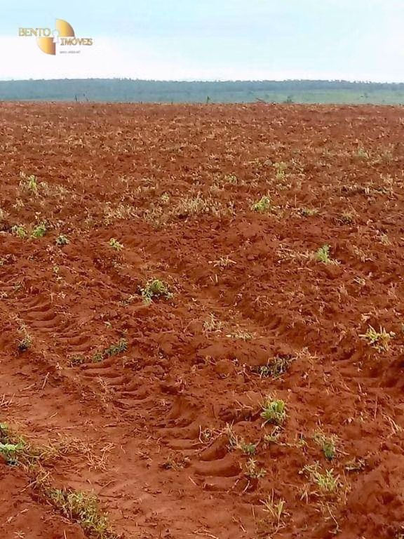 Fazenda de 3.560 ha em Barra do Garças, MT