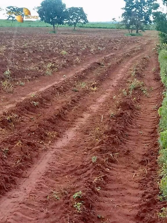 Fazenda de 3.560 ha em Barra do Garças, MT
