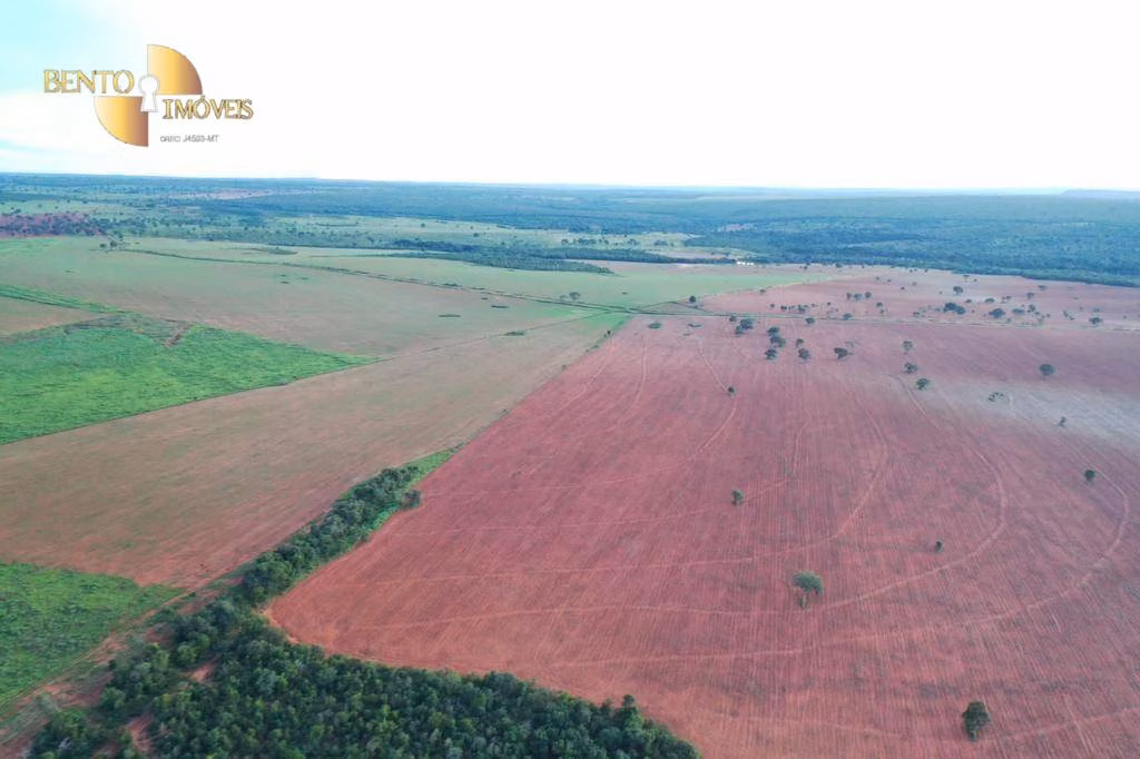 Fazenda de 3.560 ha em Barra do Garças, MT