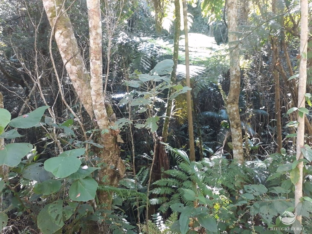 Sítio de 70 ha em São José dos Campos, SP