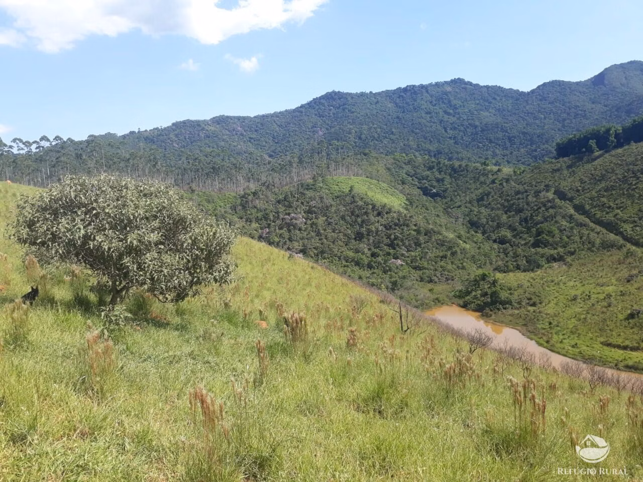 Sítio de 70 ha em São José dos Campos, SP