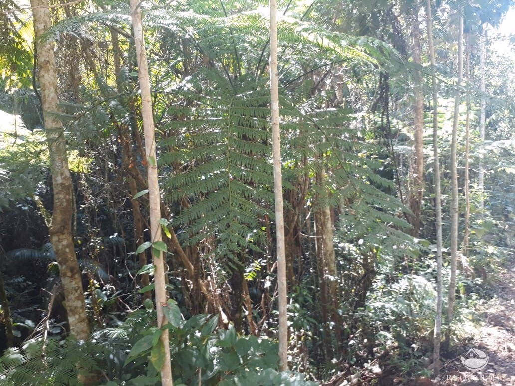 Sítio de 70 ha em São José dos Campos, SP