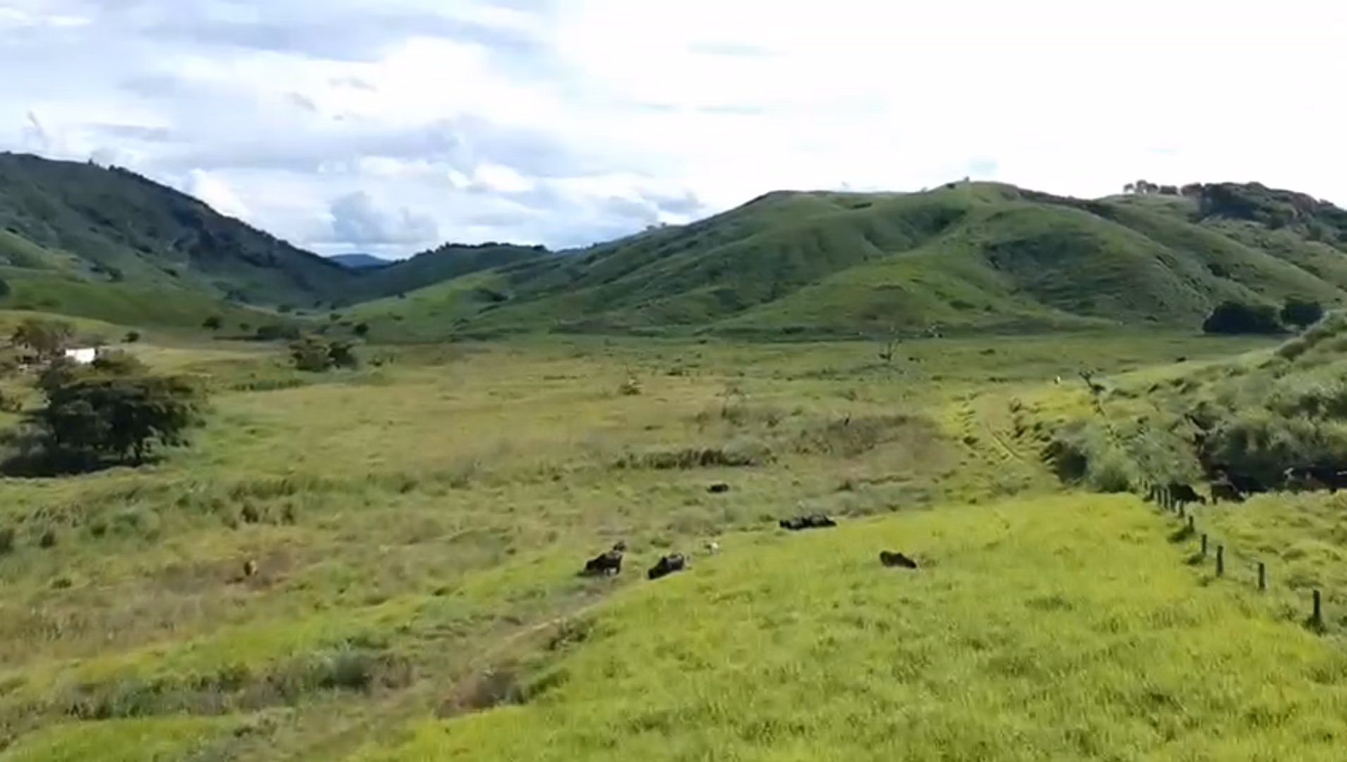 Fazenda de 363 ha em Itanhomi, MG