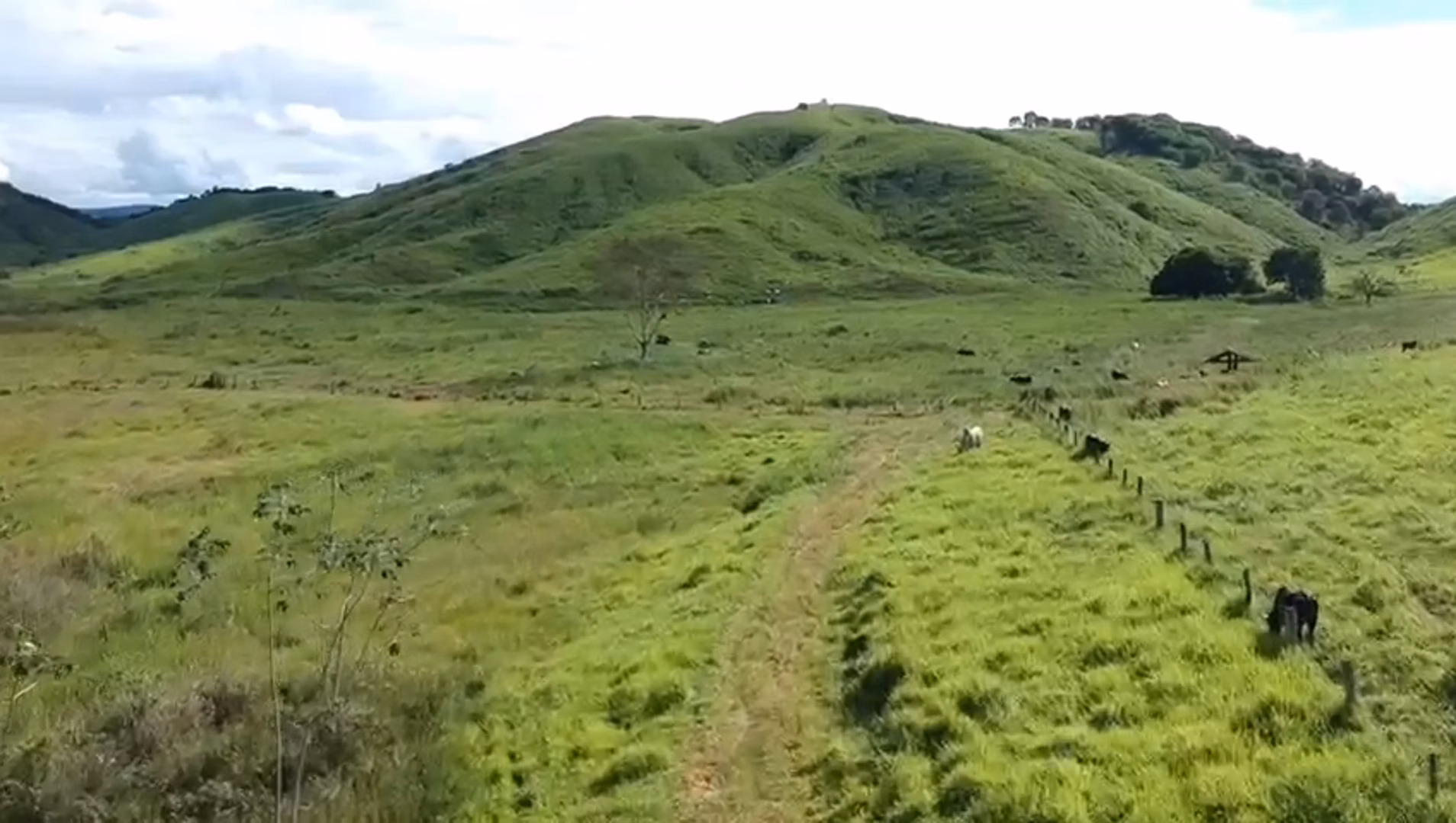 Fazenda de 363 ha em Itanhomi, MG