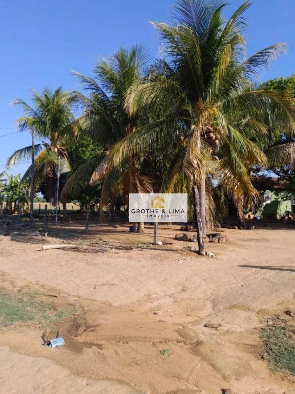 Fazenda de 1.936 ha em Peixe, TO