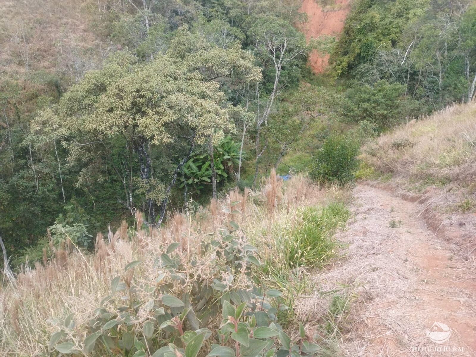 Terreno de 3 ha em Monteiro Lobato, SP