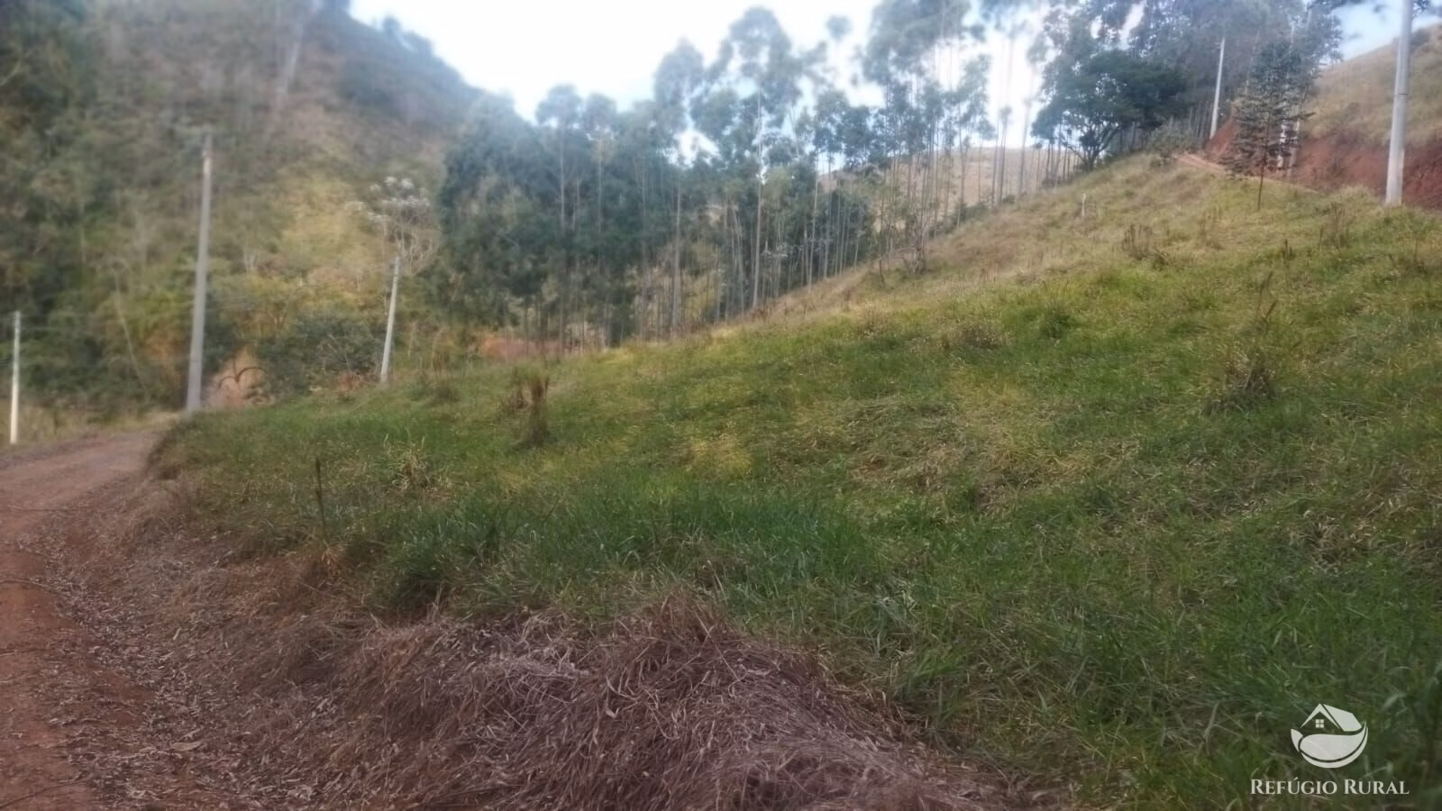Terreno de 3 ha em Monteiro Lobato, SP