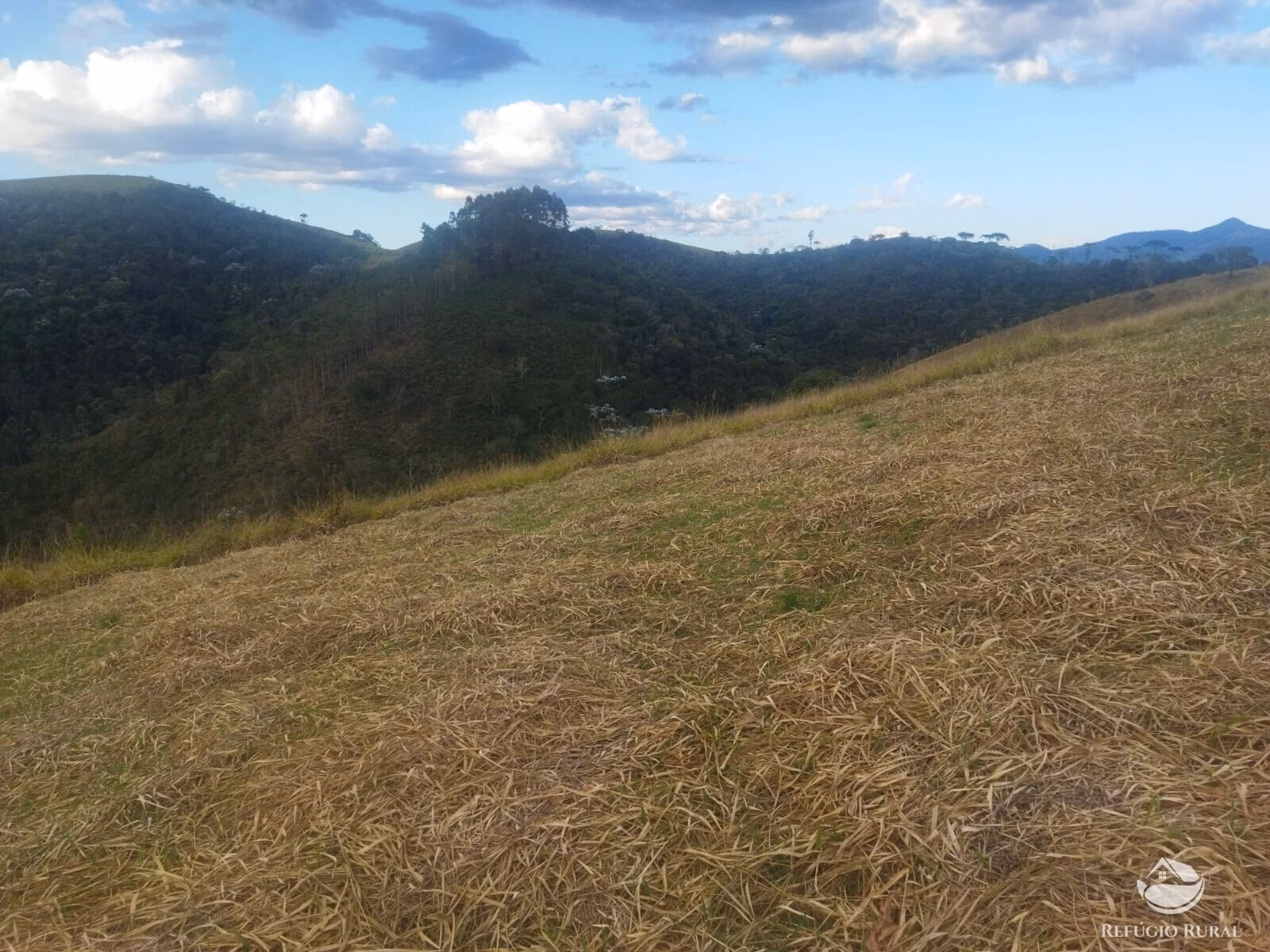 Terreno de 3 ha em Monteiro Lobato, SP