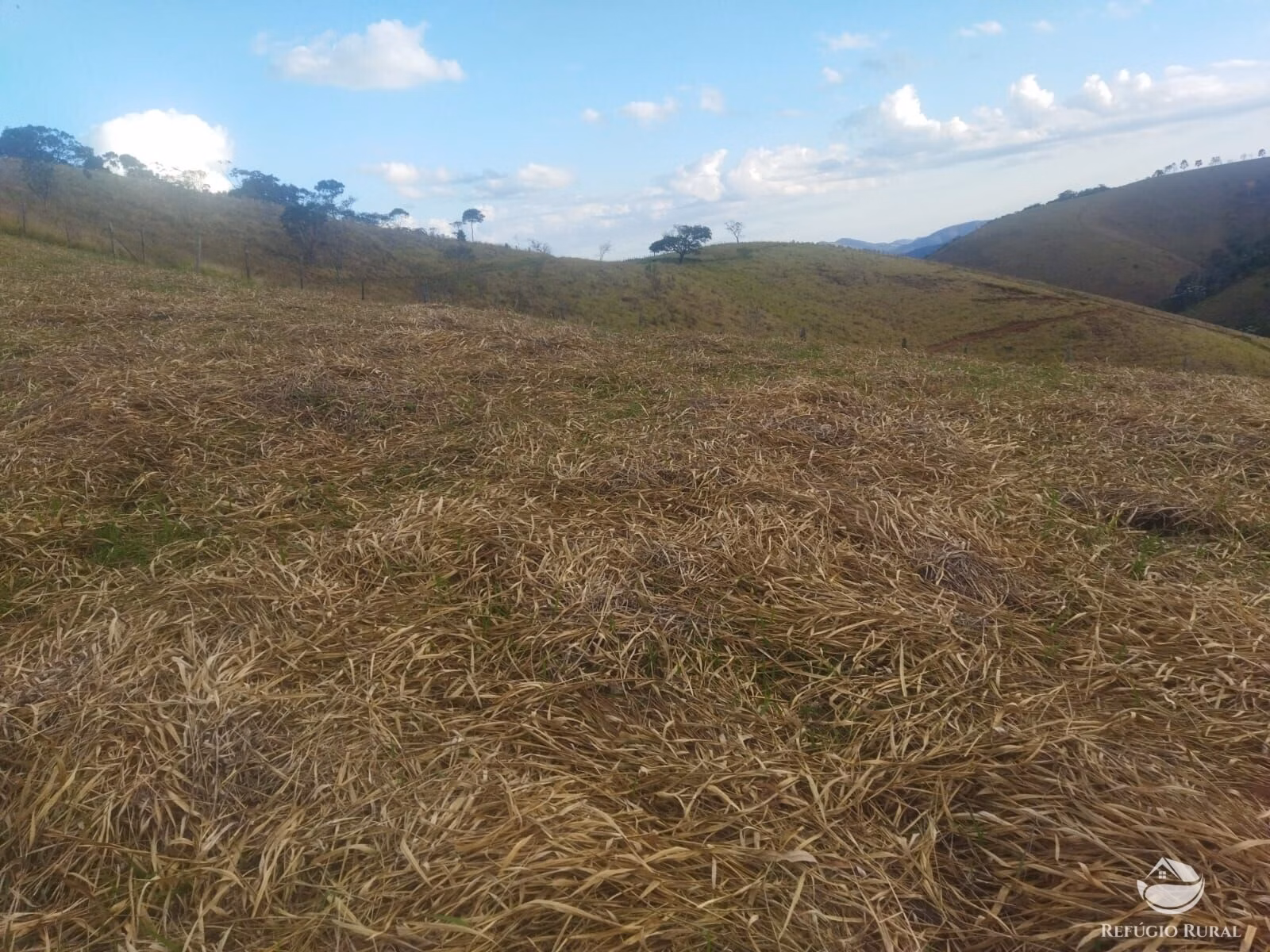 Terreno de 3 ha em Monteiro Lobato, SP
