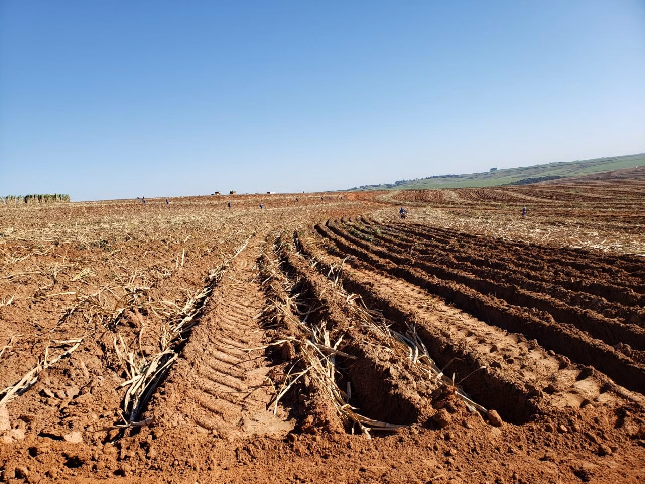 Fazenda de 2.979 ha em Presidente Prudente, SP