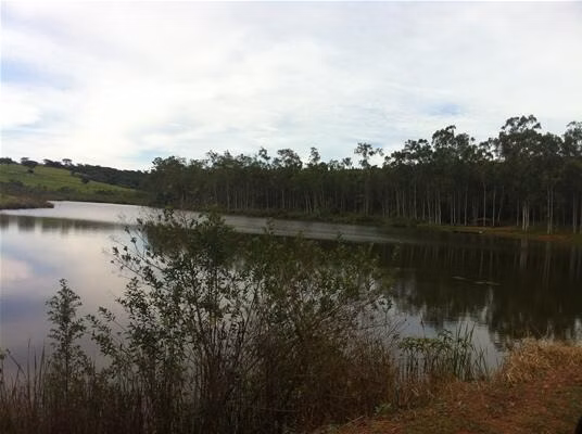 Fazenda de 2.979 ha em Presidente Prudente, SP