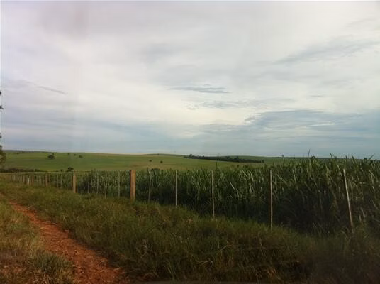 Fazenda de 2.979 ha em Presidente Prudente, SP