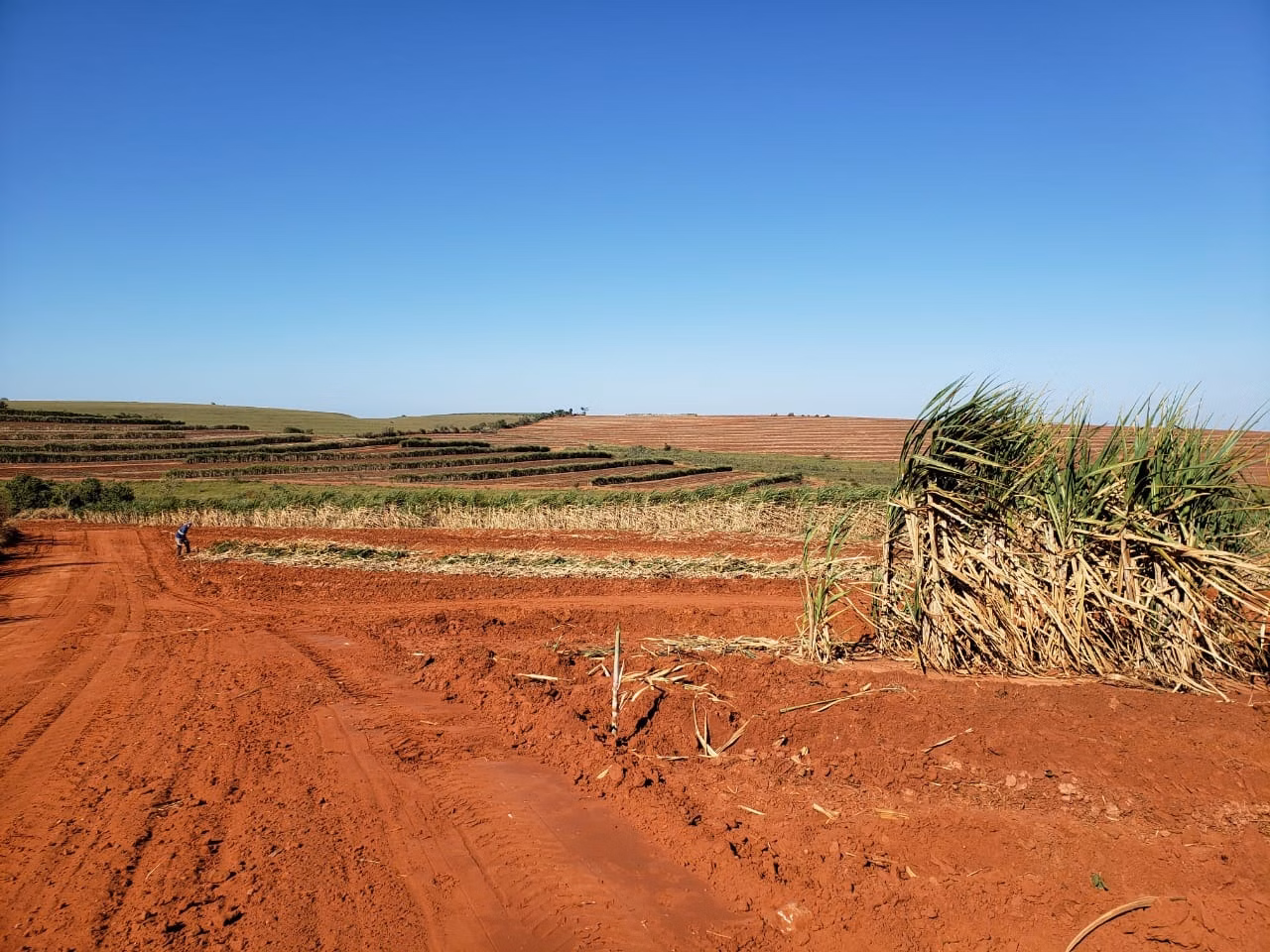 Fazenda de 2.979 ha em Presidente Prudente, SP