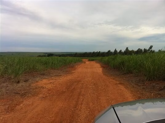 Fazenda de 2.979 ha em Presidente Prudente, SP