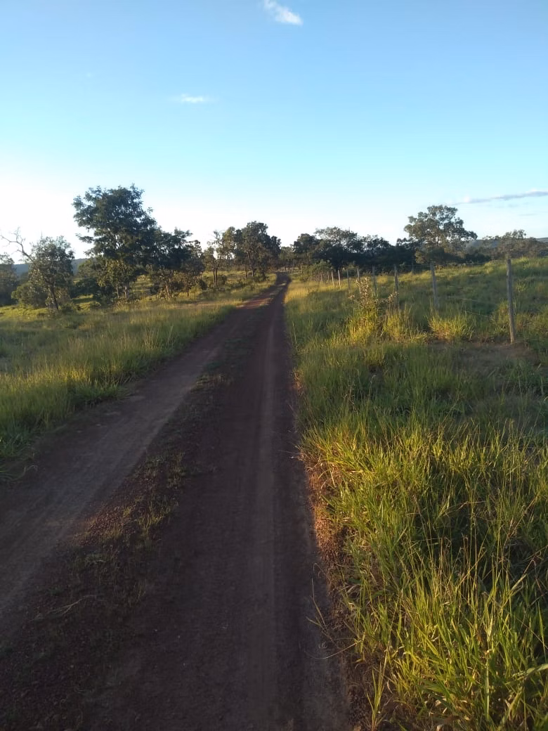 Fazenda de 720 ha em Presidente Olegário, MG