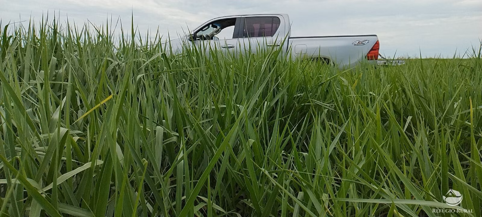Fazenda de 1.702 ha em Cassilândia, MS
