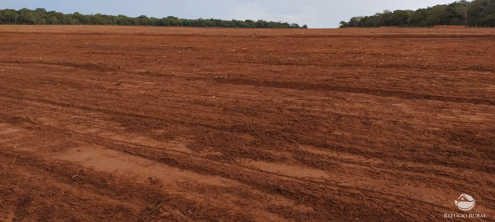 Fazenda de 1.702 ha em Cassilândia, MS