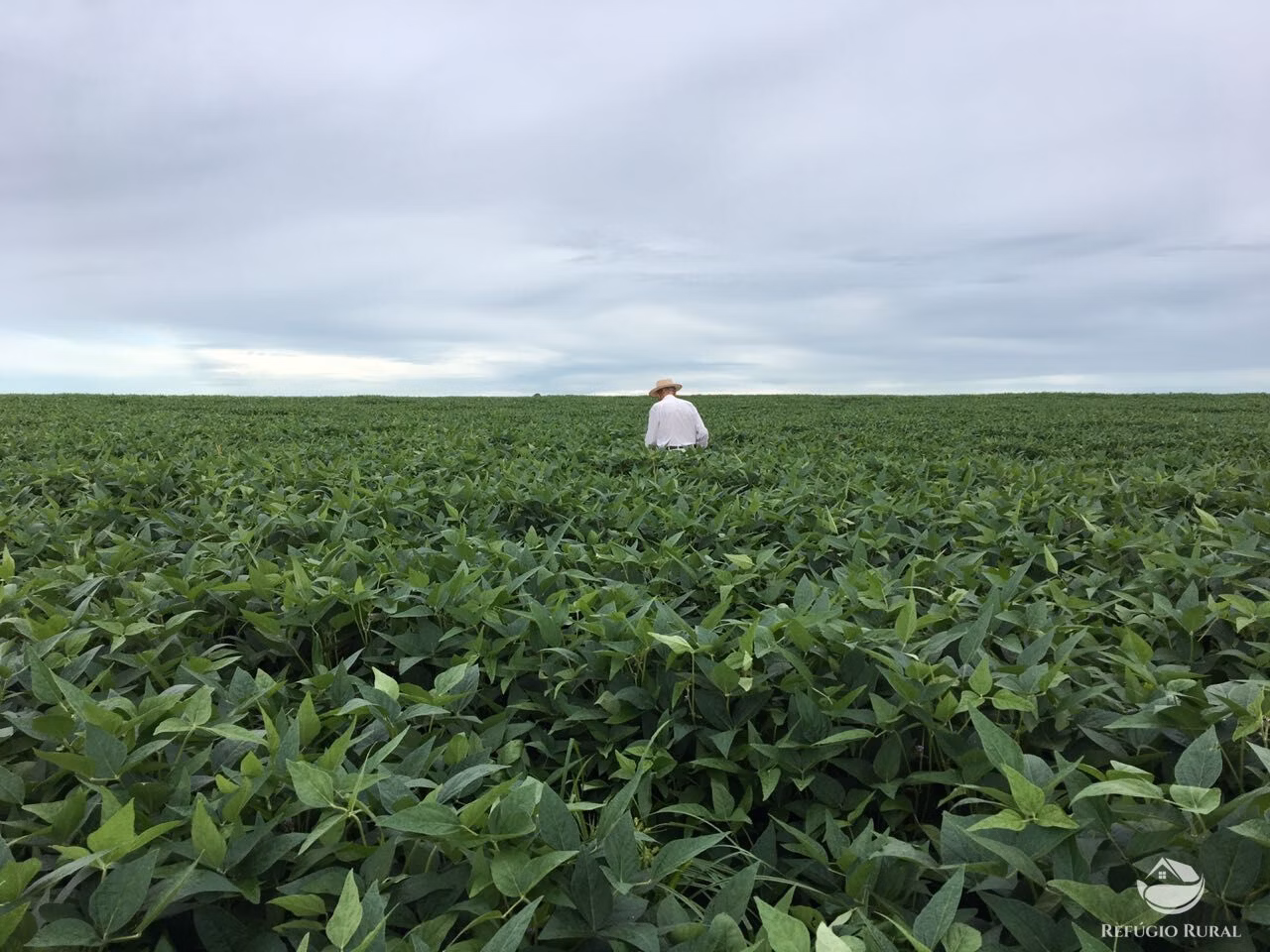 Fazenda de 6.580 ha em Cocalinho, MT