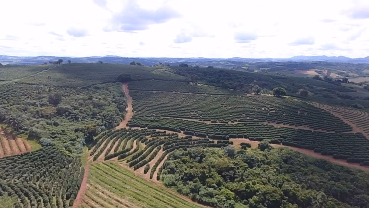 Sítio de 65 ha em Nepomuceno, MG