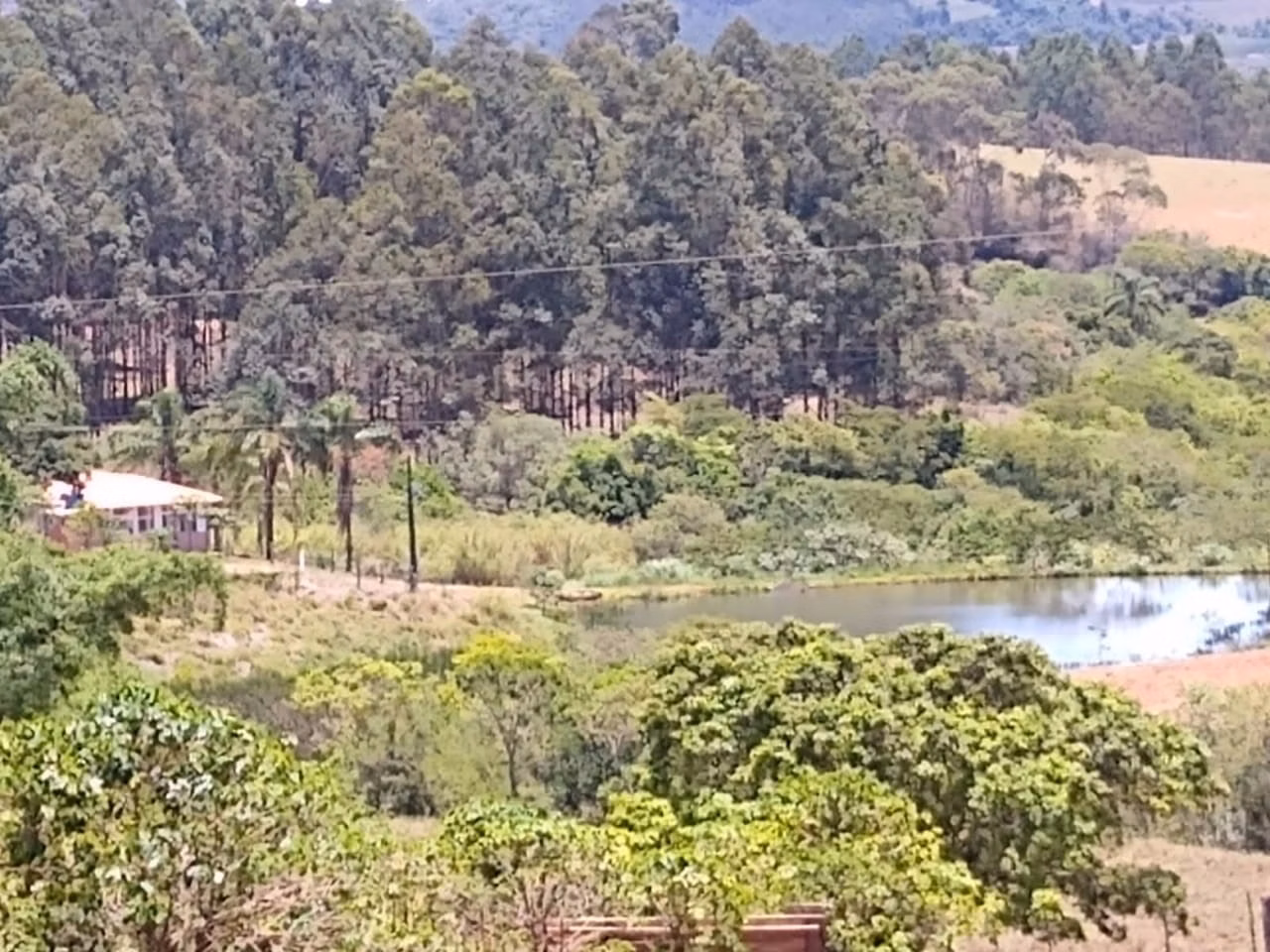 Sítio de 65 ha em Nepomuceno, MG