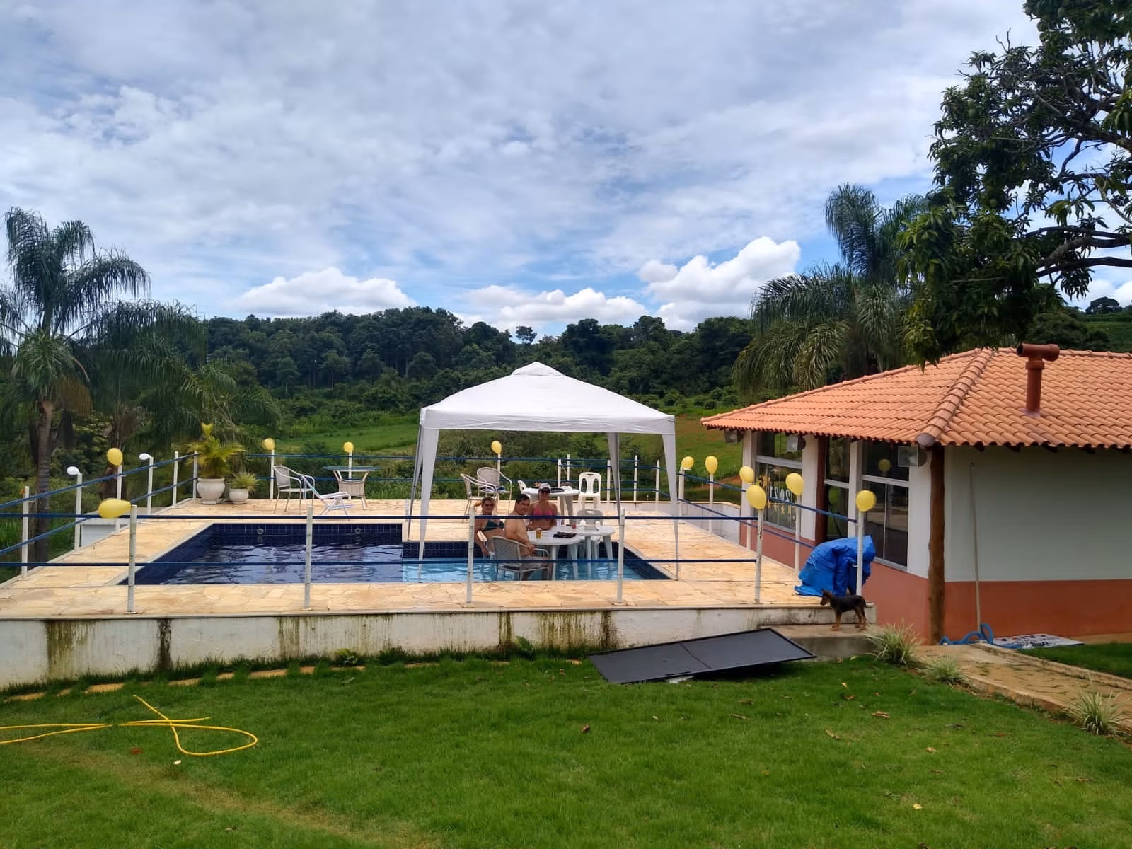 Sítio de 65 ha em Nepomuceno, MG