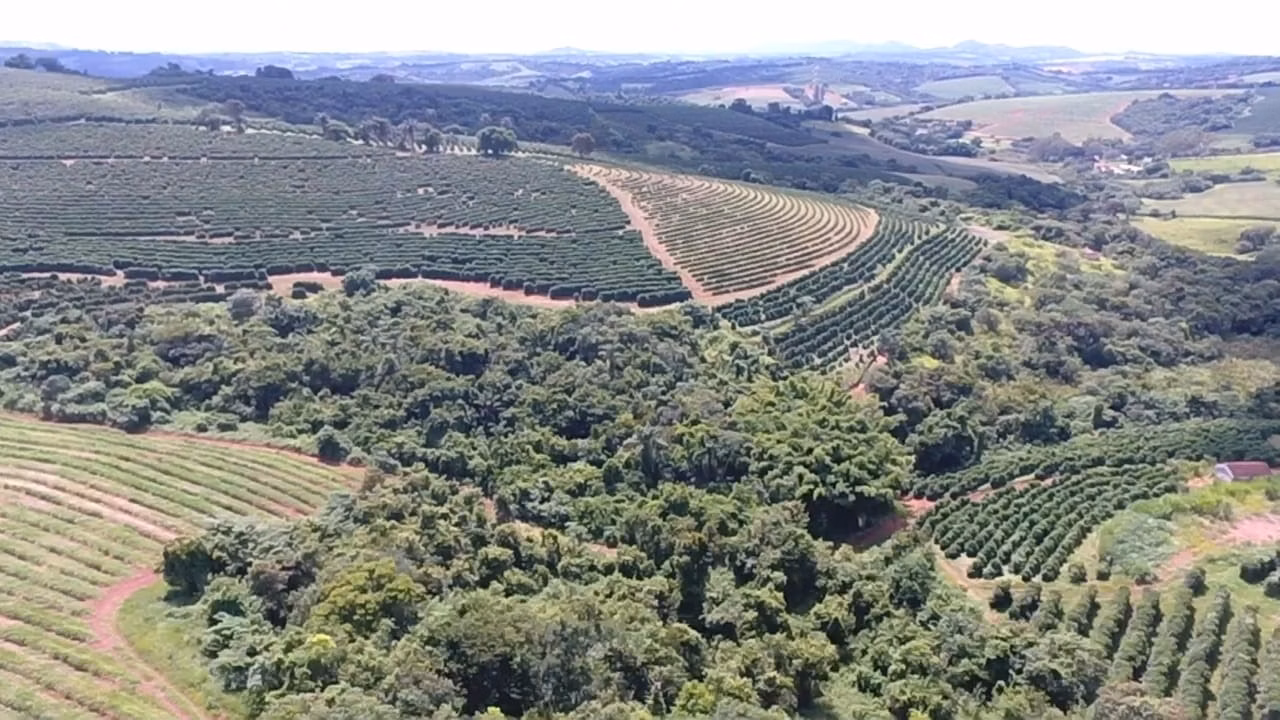Sítio de 65 ha em Nepomuceno, MG