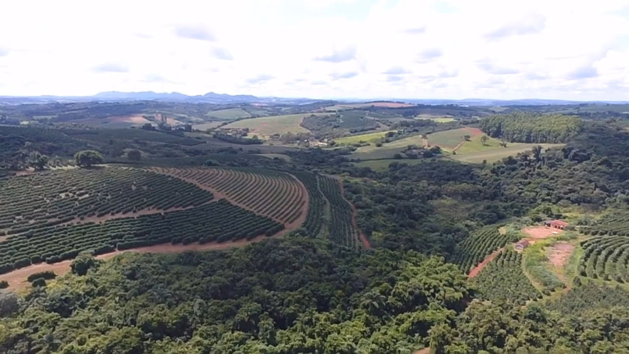 Sítio de 65 ha em Nepomuceno, MG