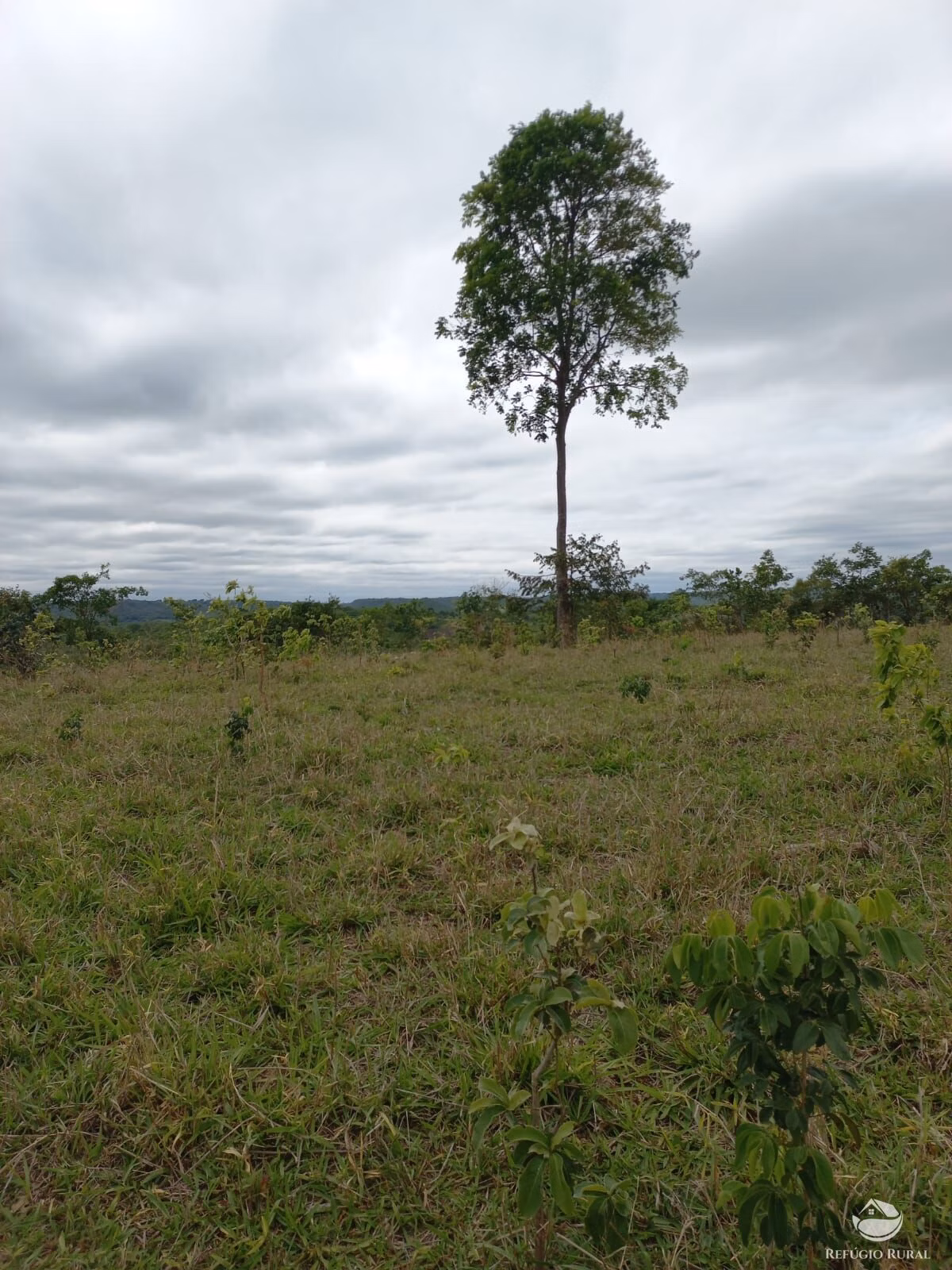 Fazenda à venda de 700 ha em Camapuã, MS