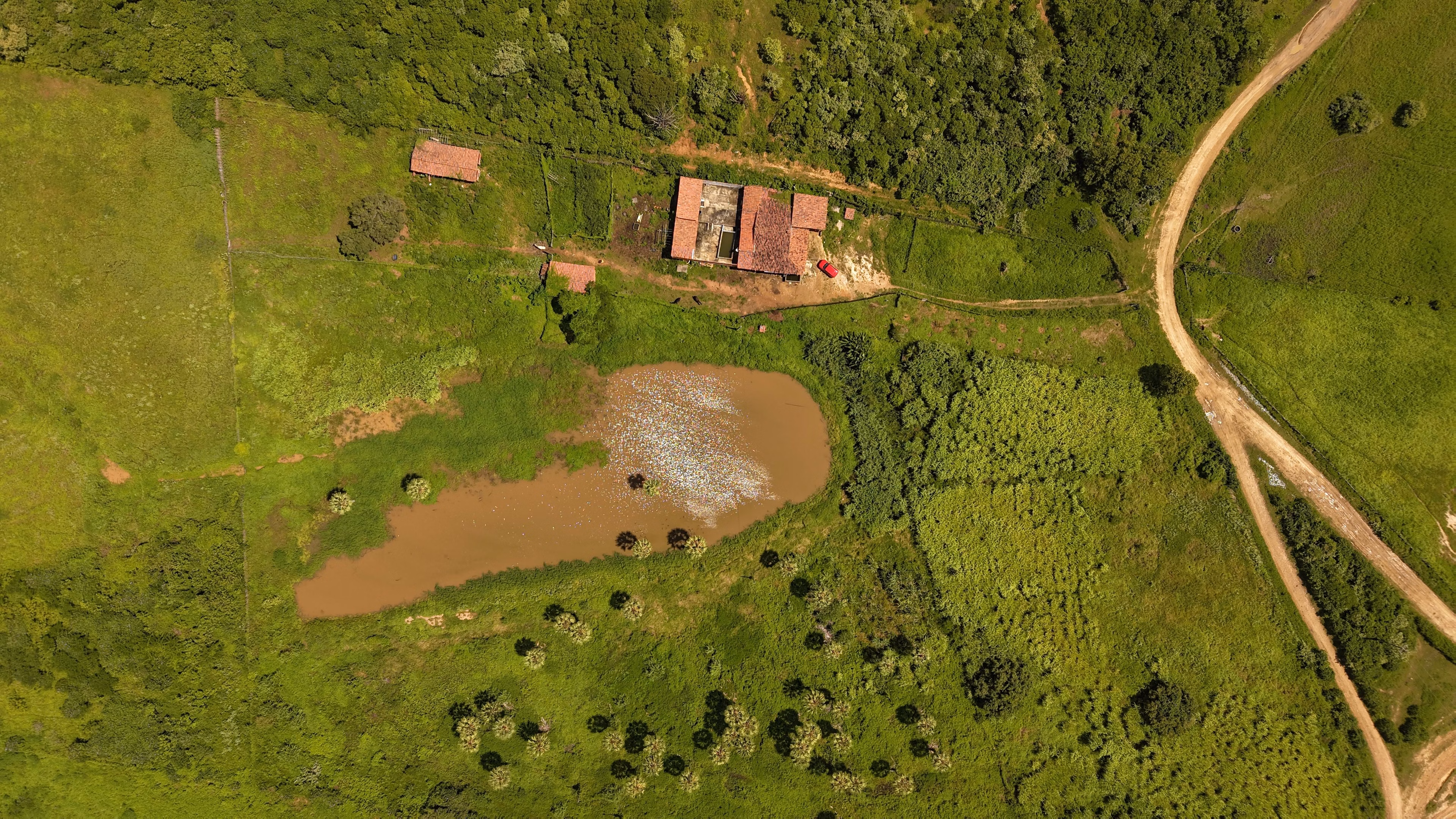 Fazenda de 36 ha em Pentecoste, CE