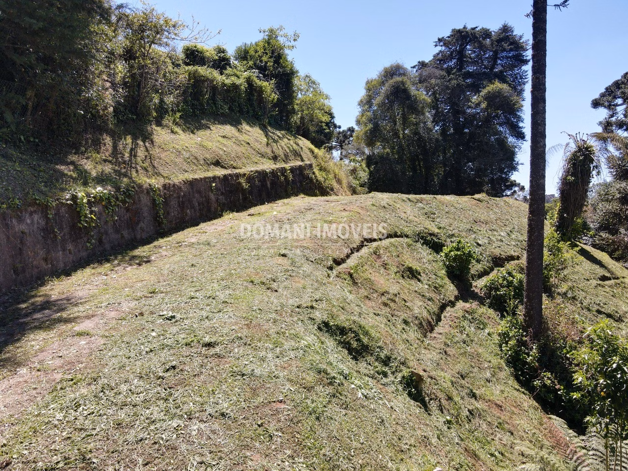 Plot of 1,750 m² in Campos do Jordão, SP, Brazil