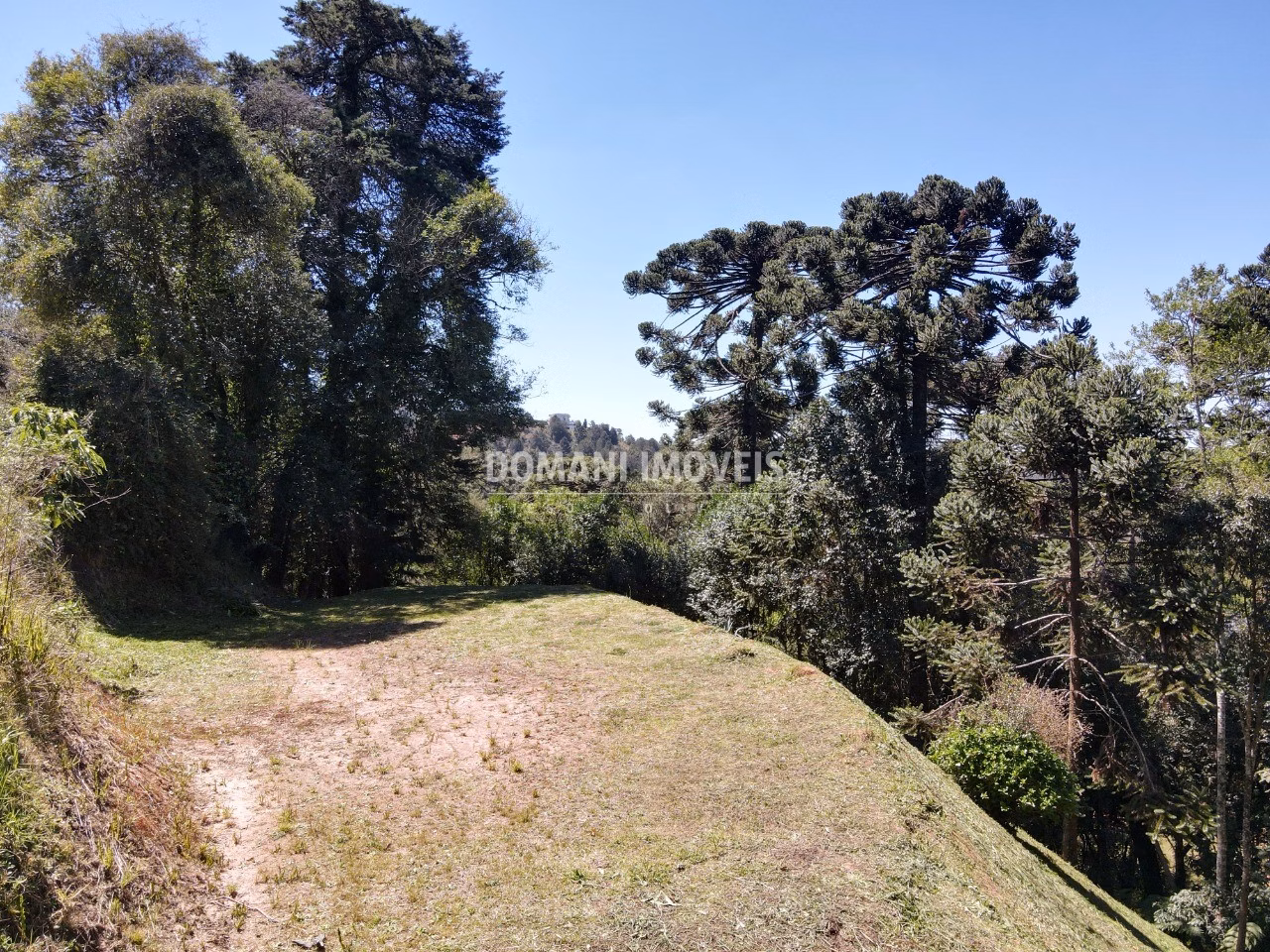 Plot of 1,750 m² in Campos do Jordão, SP, Brazil