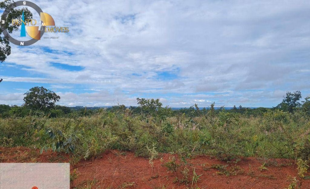 Fazenda de 1.752 ha em Tesouro, MT