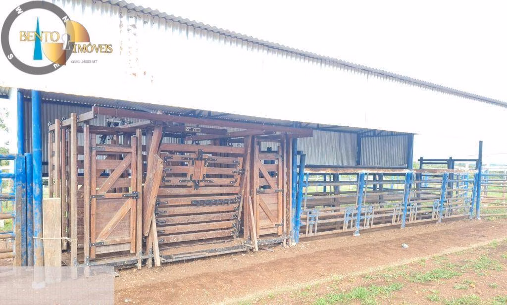 Fazenda de 1.752 ha em Tesouro, MT