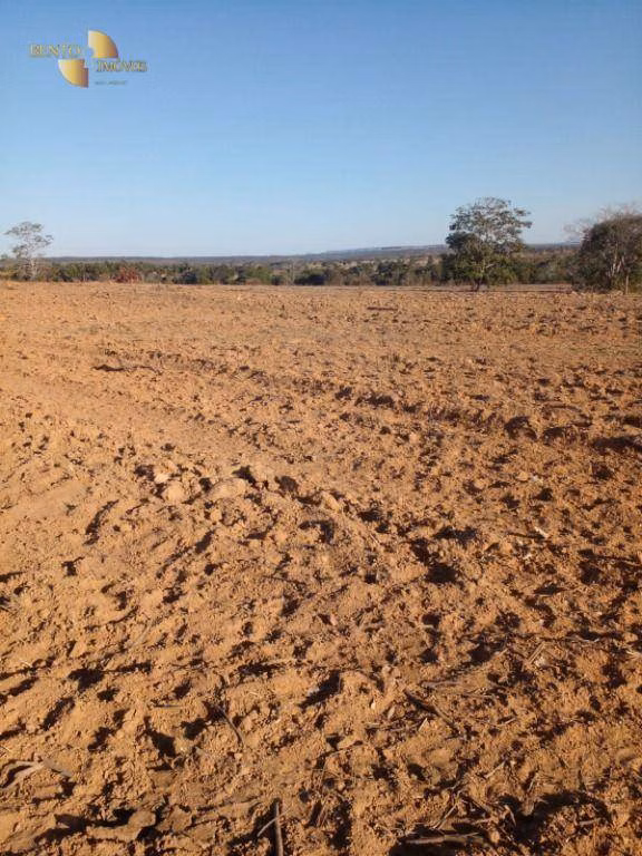 Fazenda de 1.752 ha em Tesouro, MT