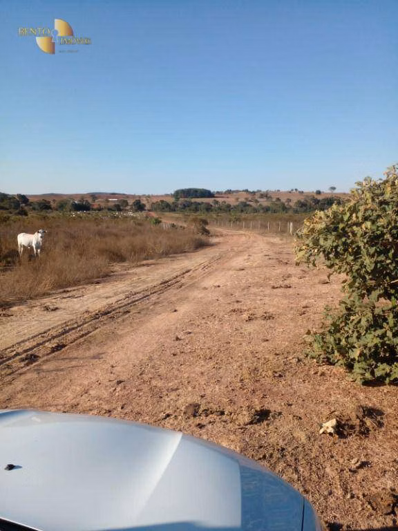 Fazenda de 1.752 ha em Tesouro, MT