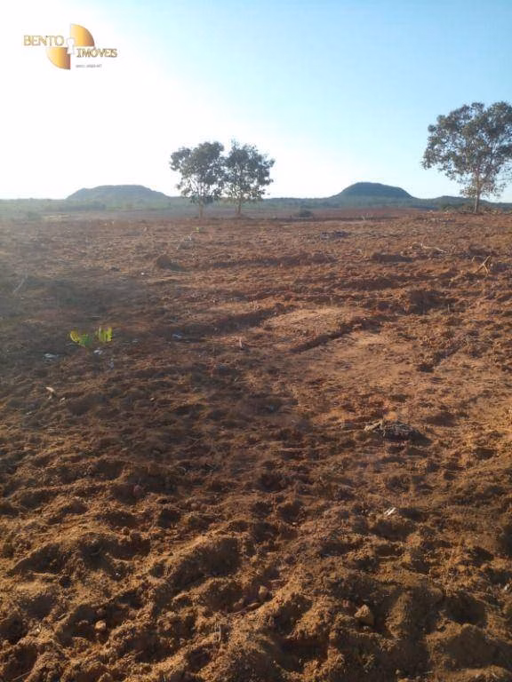 Fazenda de 1.752 ha em Tesouro, MT