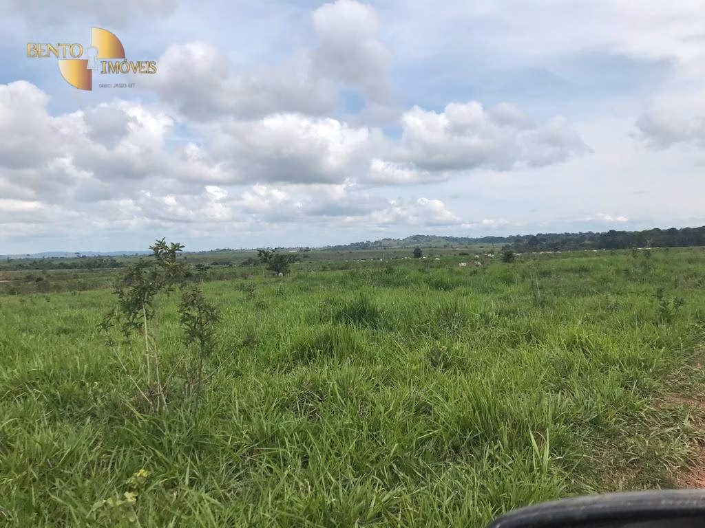 Fazenda de 2.662 ha em Alta Floresta, MT