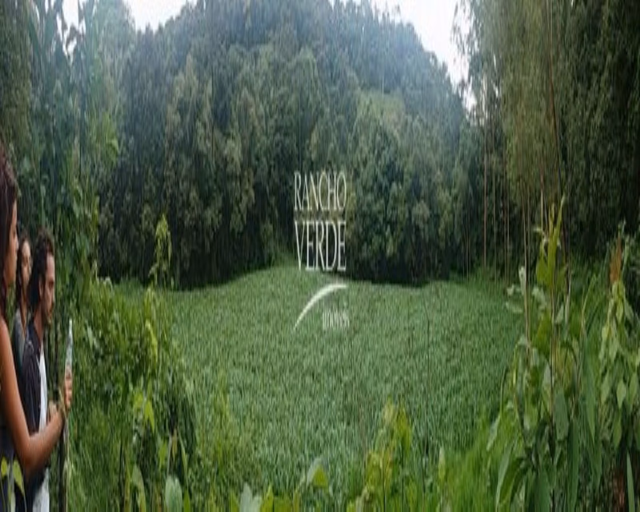 Farm of 766 acres in Bocaina de Minas, MG, Brazil