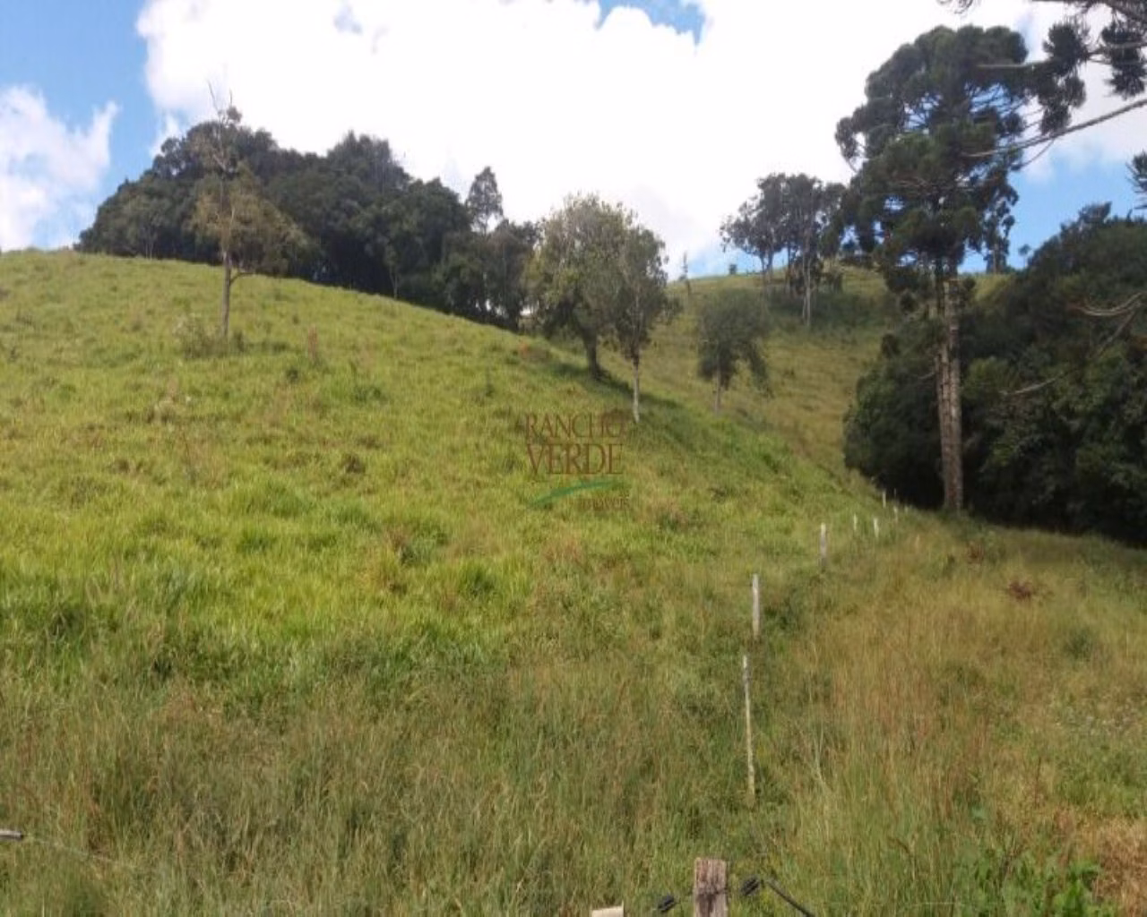 Farm of 766 acres in Bocaina de Minas, MG, Brazil