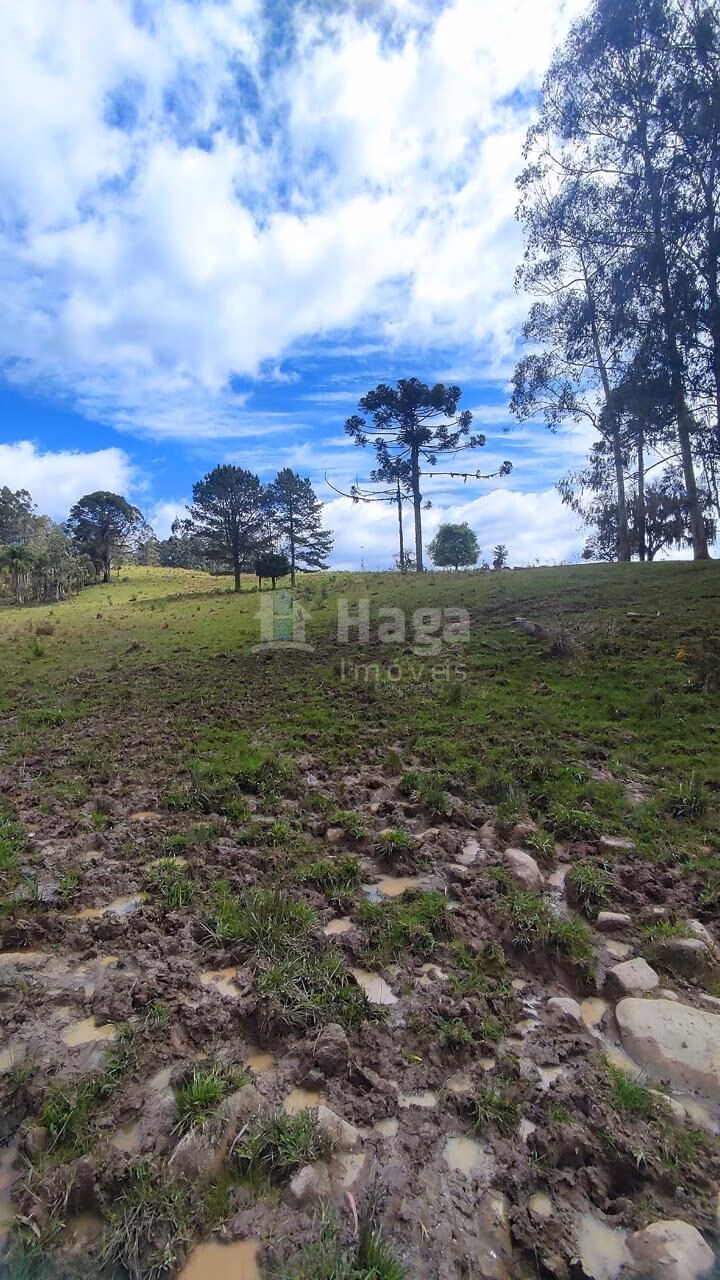 Fazenda de 75 ha em Major Gercino, SC